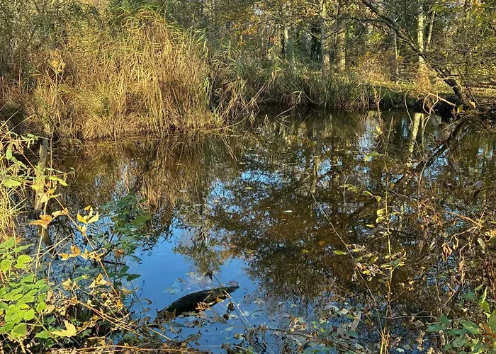 펜션 Charming Summer House Close To The Water