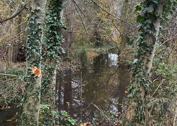 Charming Summer House Close To The Water